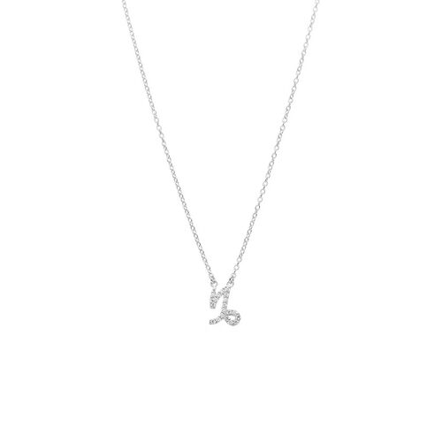 Silk & Steel Capricorn Necklace